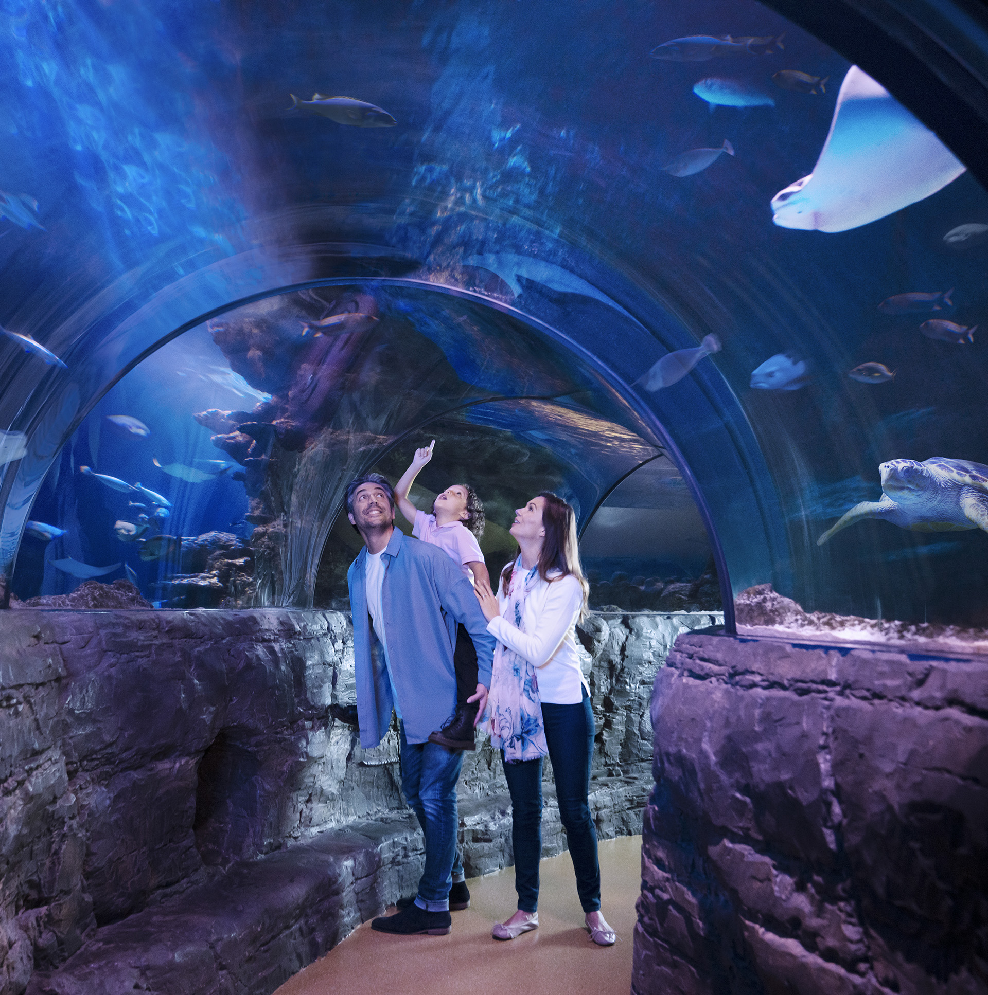london aquarium visit time